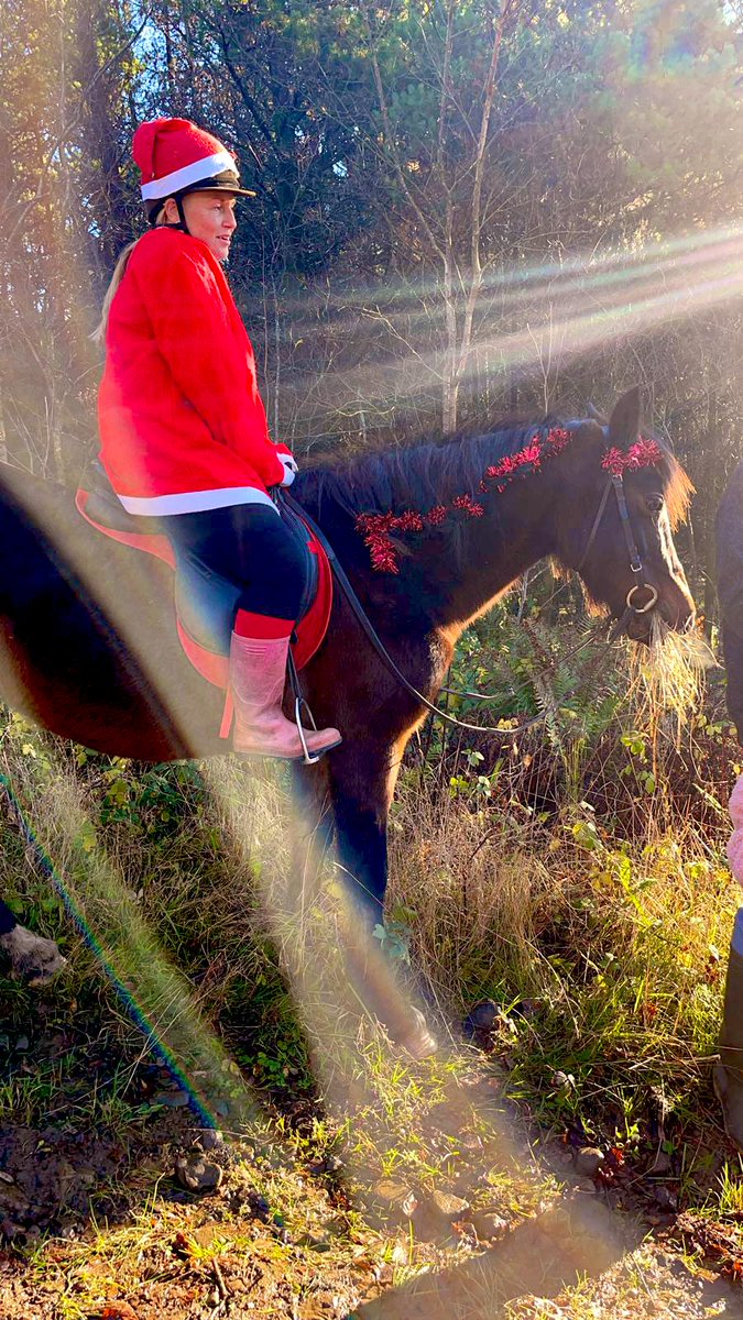 Charlotte_Cymru's tweet photo. Lots of our horsey friends visiting #kilvey hill today for mince pies 🥧 &amp; friendship 🎄Pop over for a free Christmas tree 🎄 https://t.co/I9iqijUIfC
