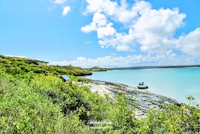 SomInsight's tweet photo. Koyama - Bajuni islands -  district Badhaadhe Lower Jubba,Somalia

#gettoknowsomalia
#VisitSomali https://t.co/l6nwaPEA2C