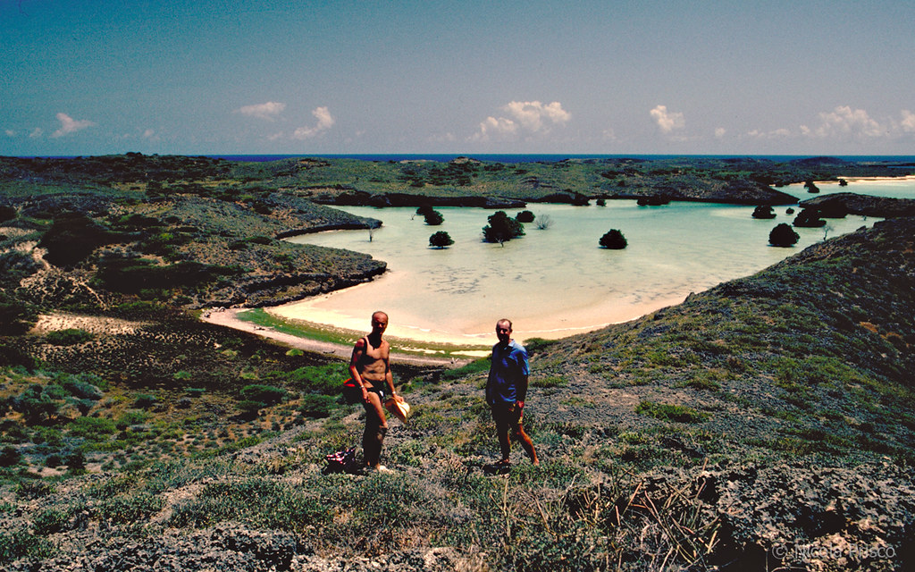 SomInsight's tweet photo. Koyama - Bajuni islands -  district Badhaadhe Lower Jubba,Somalia

#gettoknowsomalia
#VisitSomali https://t.co/l6nwaPEA2C
