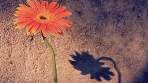 " Az söyledim. Dikkat ettim kalbini kırmamaya.
Bilirim incinirsin, yoksa sözüm çoktur sana!"
            İmam-I Rabbâni Hz