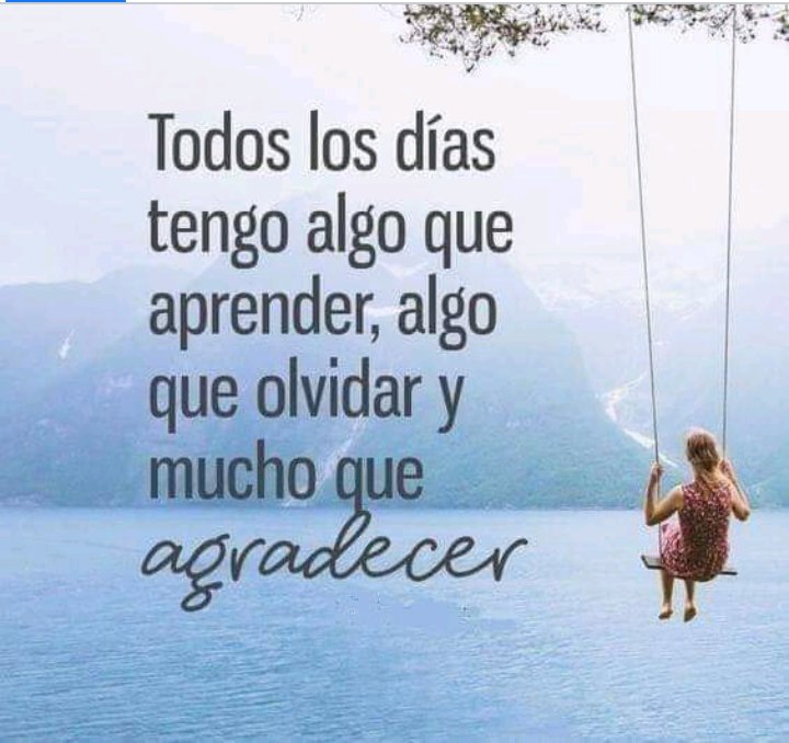 JuanaRang1's tweet photo. buenos días https://t.co/63q1t9rWQ0