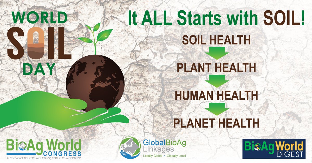 #worldsoilday2021 #salinization #sustainableagriculture