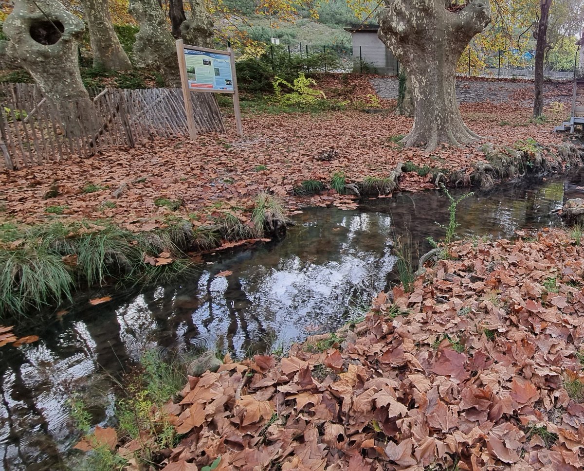 RegiedeseauxM3M's tweet photo. Les #sols méritent toute notre attention.
Action de protection des sols et de restauration de la faune et la flore des #zoneshumides à la source du #Lez.
Contrats #Natura2000,@RegiedeseauxM3M en partenariat avec le #syble
#JourneeMondialeDesSols https://t.co/D7CkS8wdzu