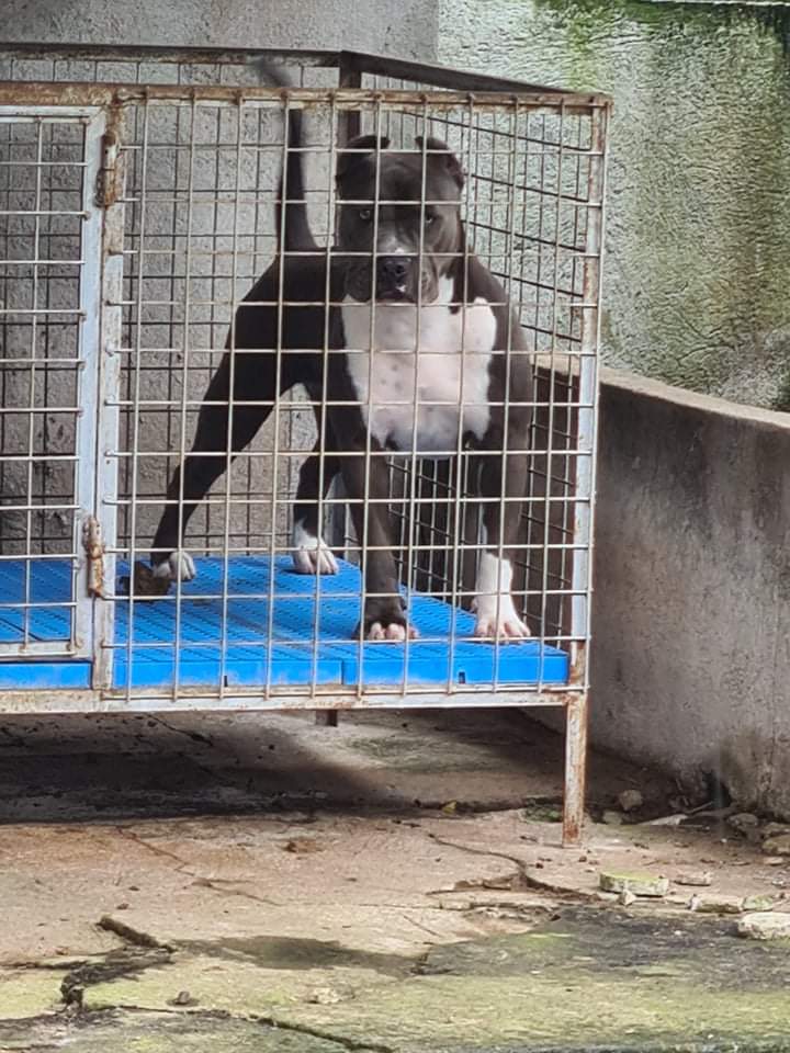 rjbnrn's tweet image. Mystique the bully

#codecoin