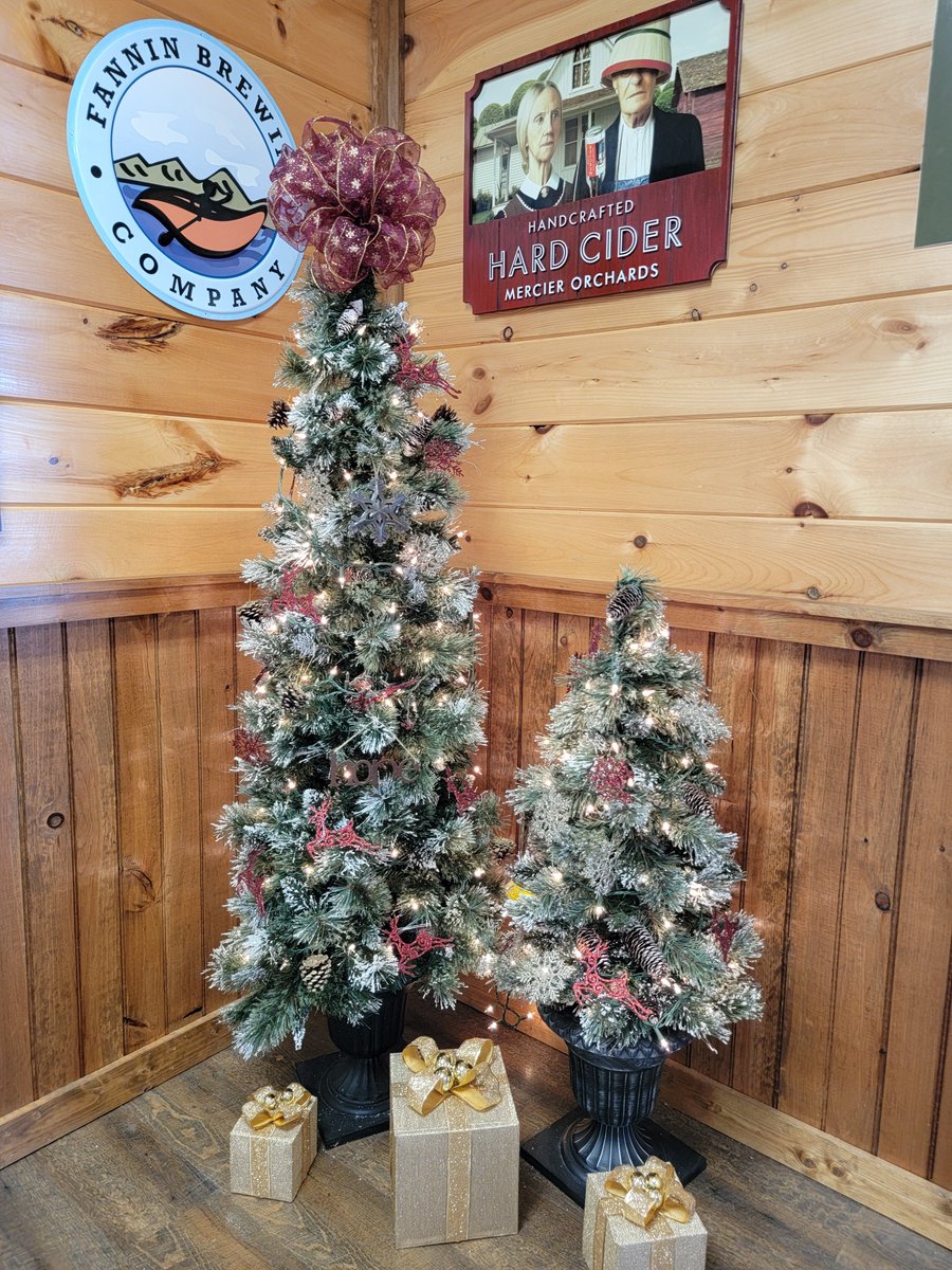 GA_MTN_CABINS's tweet photo. Ready for Christmas at the GMCR offices 🎄🎅🤶

#christmasvibes #blueridgega #holidayseason #excited #mountainchristmas #blueridgemountains #northga https://t.co/wsIQyv5MR7