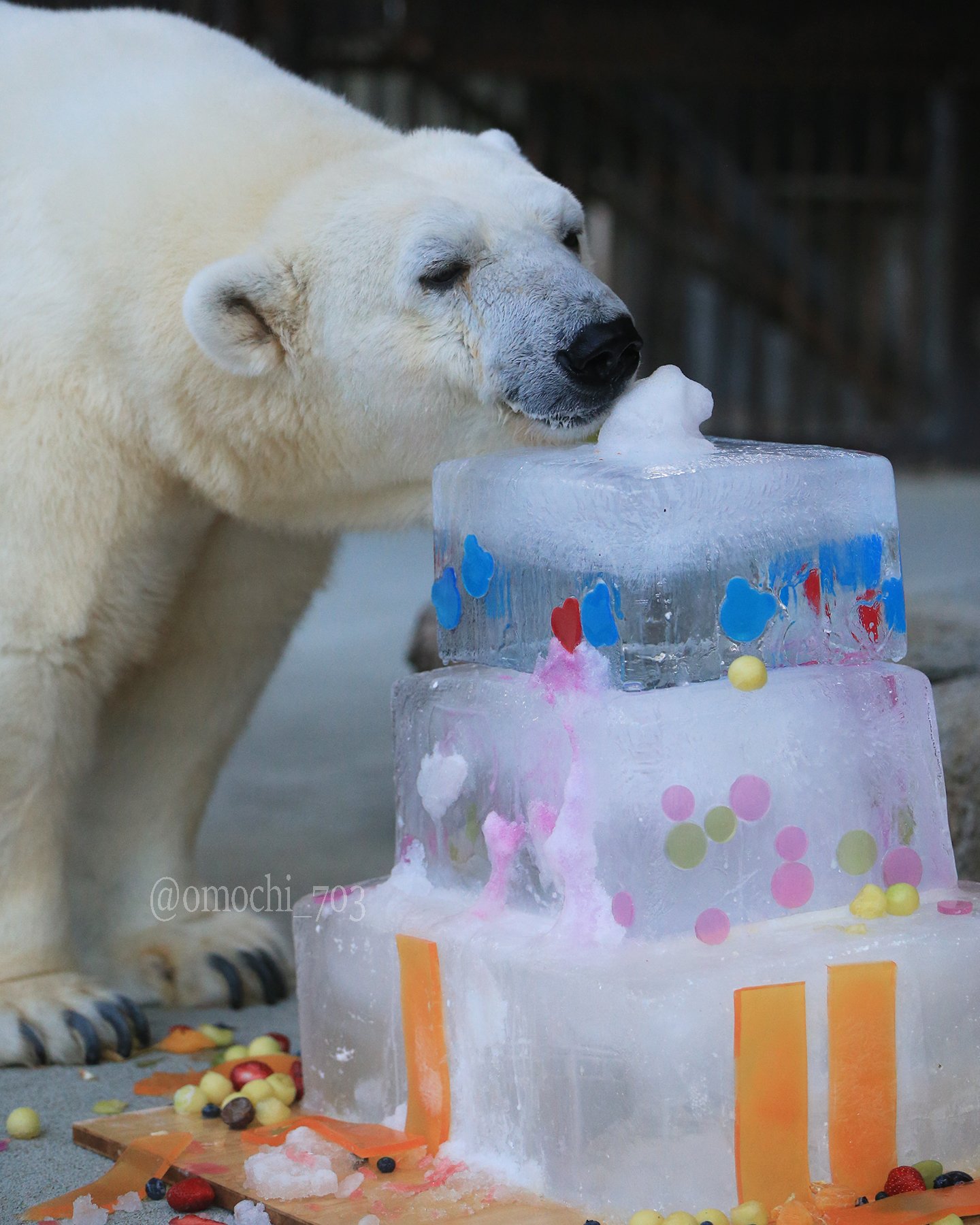 焼き菓子工房 シロクマBake (@shirokuma.bake) • Instagram photos and