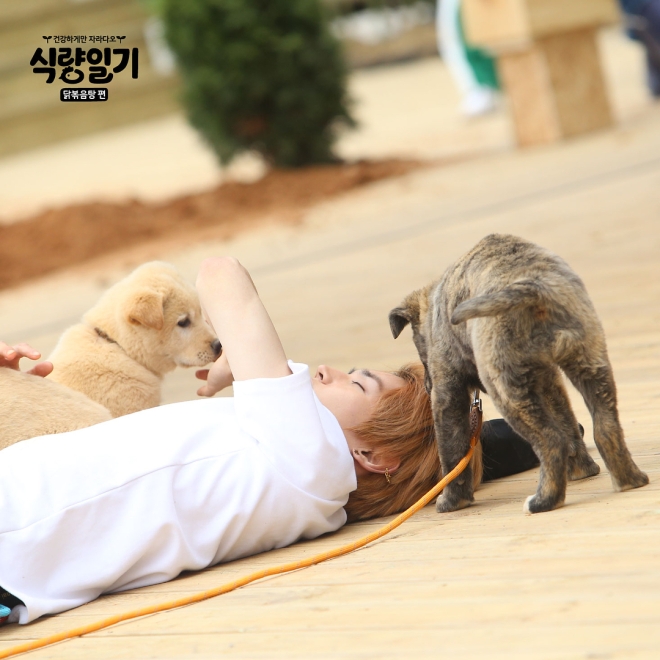 Peejador's tweet image. สี่พันโครงการ