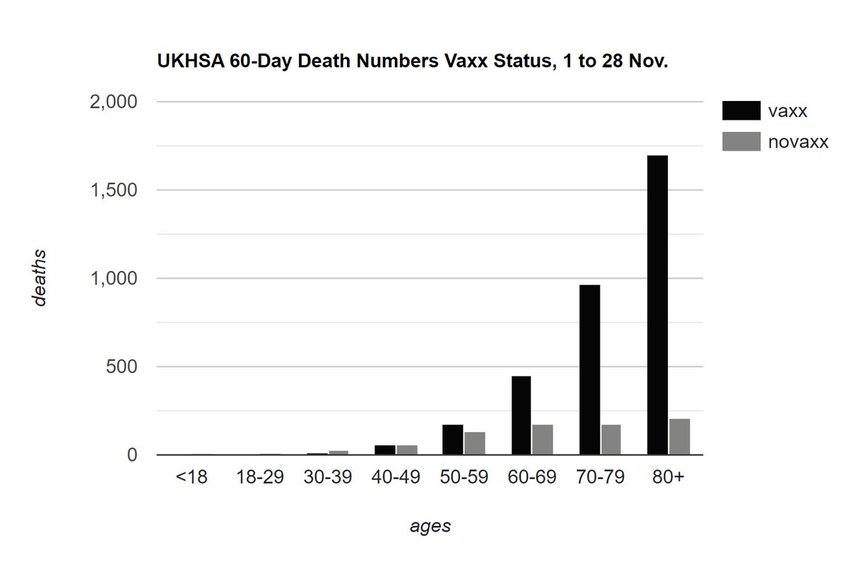 Ross Dyer tweet media