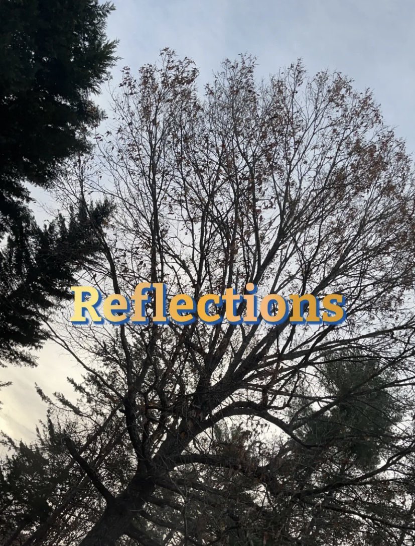 que_que20's tweet image. 