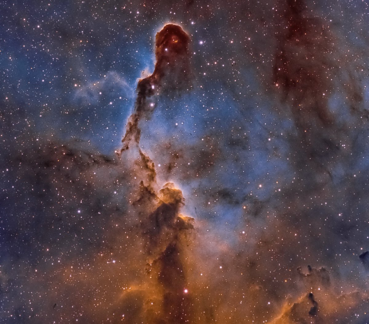 chucksastropho1's tweet photo. Fighting 12 straight days of rain, here is a blast from the past.  The Elephant Trunk's #Nebula is one of my most popular pictures ever.  I captured it with 22 hours of exposure time.  It's 2,400 light-years from #Earth.  #astronomy #Astrophotography https://t.co/pVjLVEcdlG