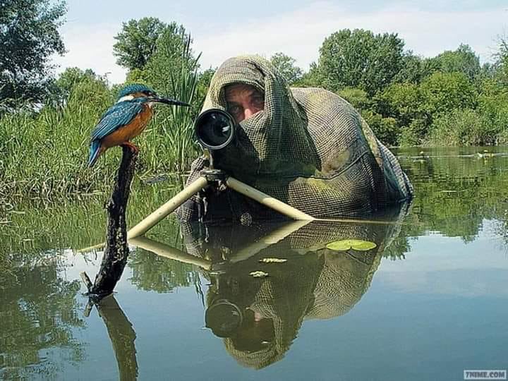 EnsedeCiencia's tweet photo. El único disparo que debe recibir un animal es el de una cámara. https://t.co/0KFFAOvHcu