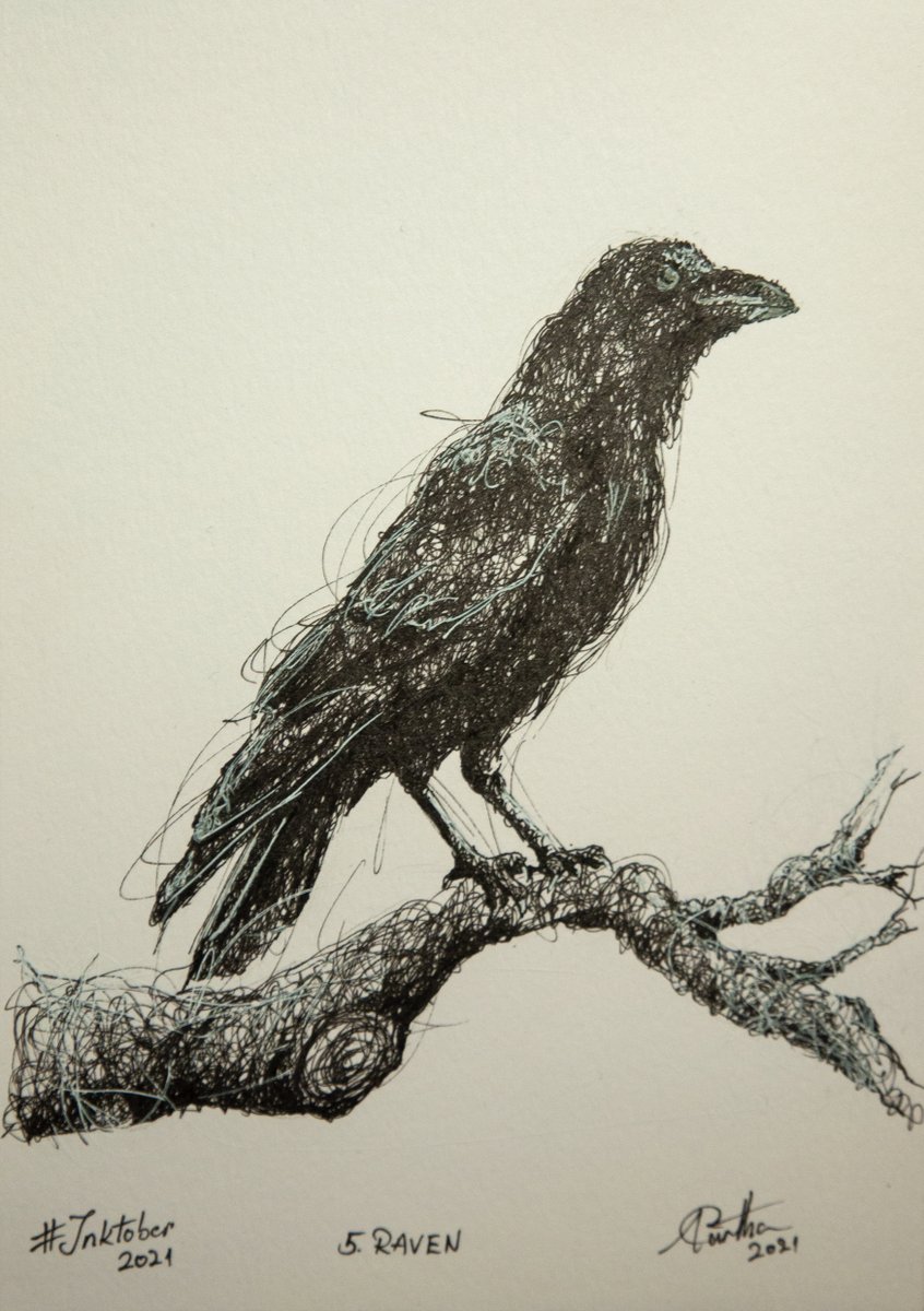 nftvikingirl's tweet photo. #Mintdecember 5/31

"Raven" - Prophecy and Insight.

#CNFTCommunity #CNFT #CNFTs #artist #artwork #Cardano #cnftproject #CNFTCollector 

https://t.co/HAyAjO6v5h https://t.co/avIL1NnKtw