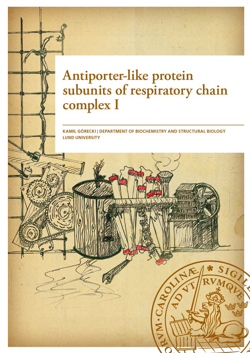 “Antiporter-like protein subunits of the respiratory chain Complex I”

They won.