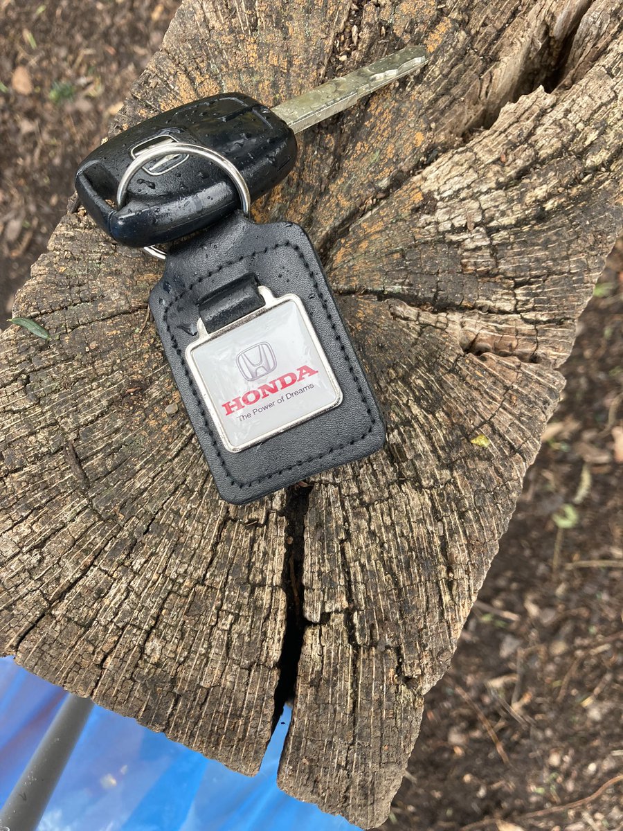 Litter-picking in #ActonPark for <a href="/CanLager/">LAGER Can</a> eventful this morning: last item found were these #Honda car keys… have left them at <a href="/PuttinthePark/">Putt in the Park</a> for retrieval. Please RT to find owner