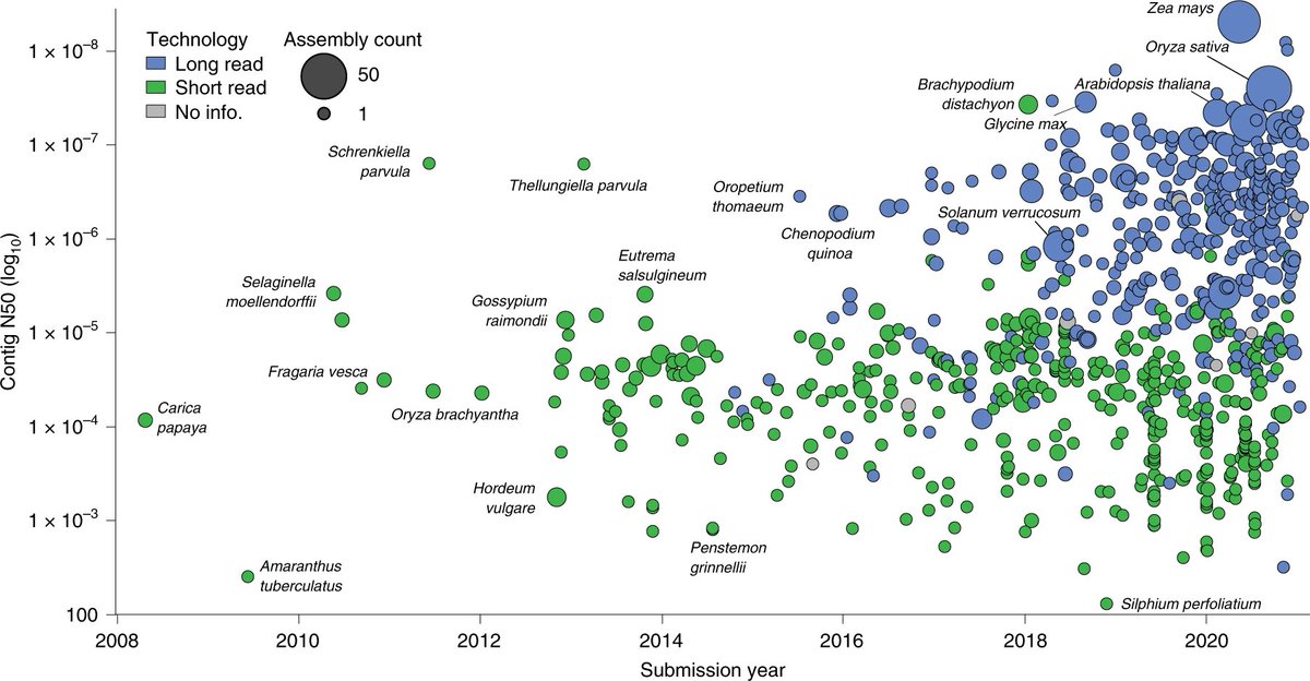 Changes in land plant genome assembly quality over 20 years of plant genome sequencing.

nature.com/articles/s4147…