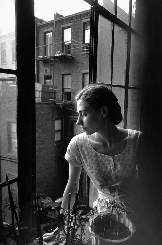 literlandweb1's tweet photo. "Es más importante comprender a las personas que perdonarlas".
"Muerte entre líneas", Donna Leon
📷 Lee Friedlander https://t.co/btyWxMuz71