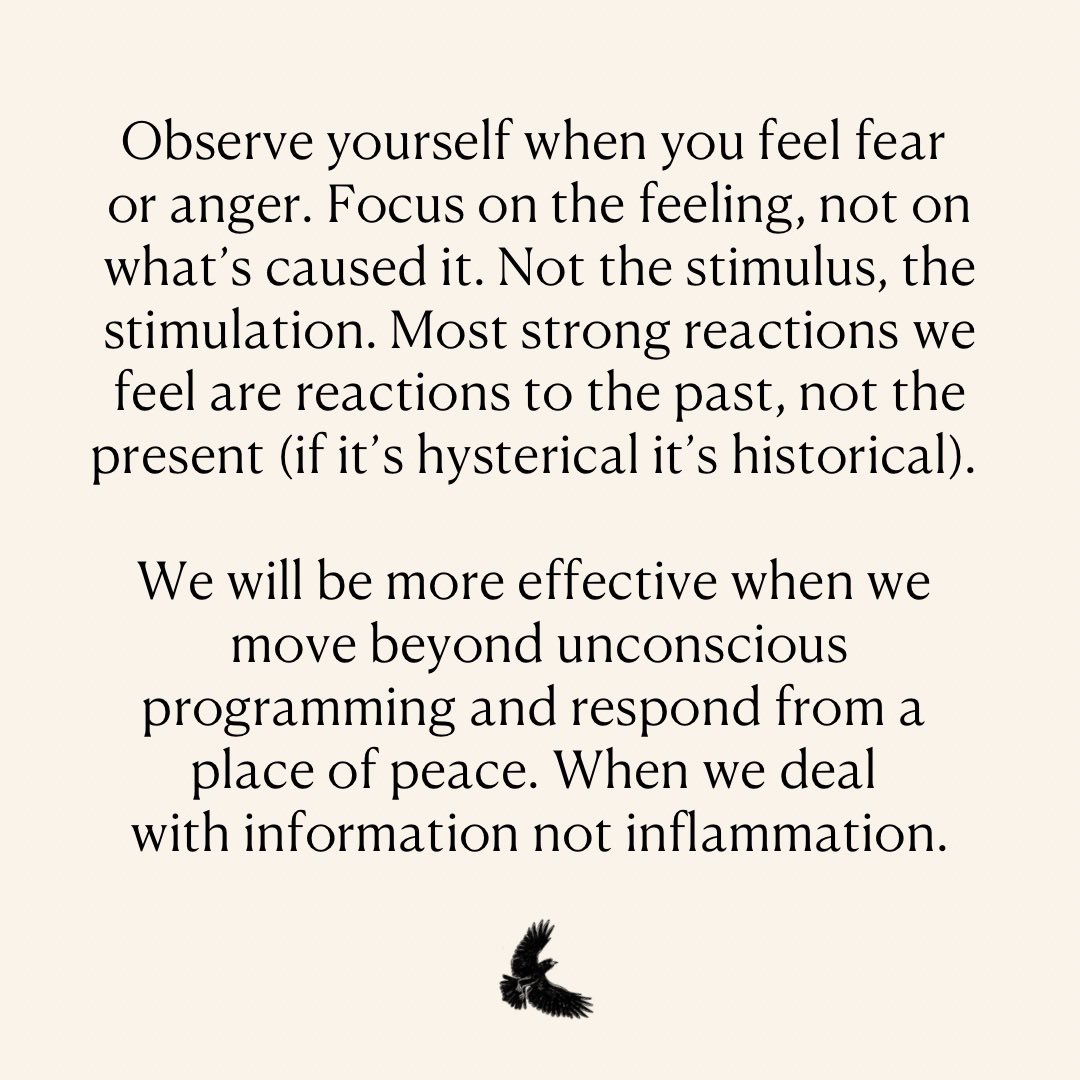 Russell Brand tweet media