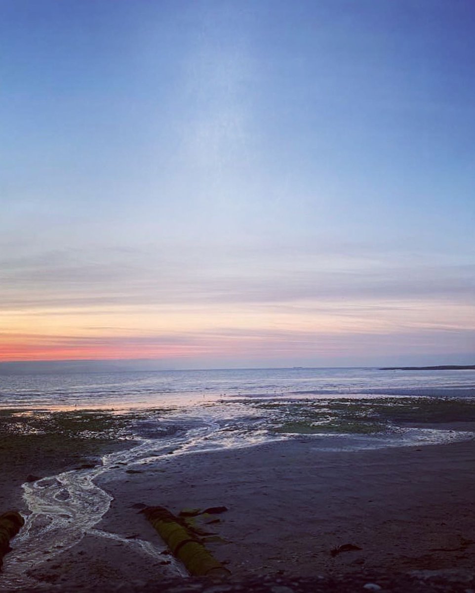 iamscarlettskye's tweet photo. When out for a walk,
I gotta stop,
and say a hello
to some fur friends 😍🐾🦴🐕‍🦺
#unconditionallove  #sweet #beautiful #love #dogs #animals #beach #nature #coastalliving #coastal #seaside #jackrussell #cockerspaniel #doglover #doglovers #picoftheday #cute #insta #northernireland https://t.co/beMtnnN2Pq