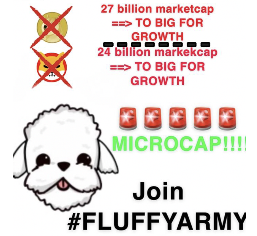 Fluffy Coin (@fluftoken) on Twitter photo 