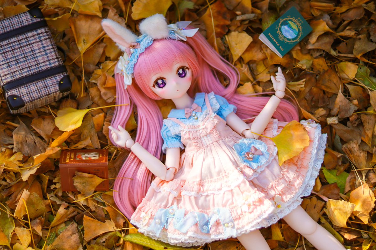 sumomorin39's tweet photo. 秋🍂

#うちのこかわいい 
#MDDはいいぞ 
#ドルフィードリーム https://t.co/t8xSiPN9lu