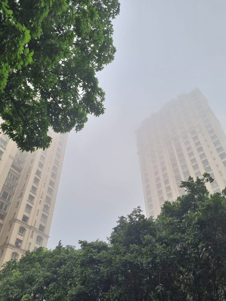 RohanBakliwal's tweet photo. #kohra #dhoond #fog #smog what ever you wanna call . #mumbai seems to give us a feel of Shimla Manali !! Just step out in morning and gaze upon the beauty !! Dont just lie on bed when you are suppose to step out ! https://t.co/oo63Mv3ZMY