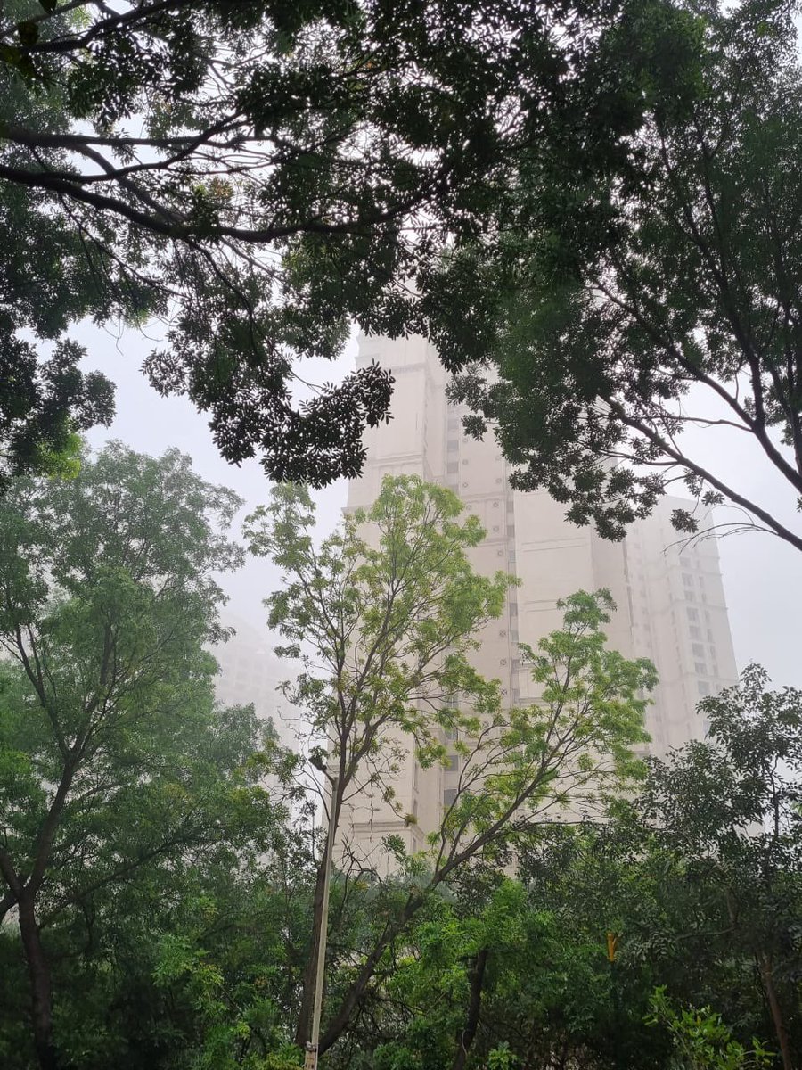 RohanBakliwal's tweet photo. #kohra #dhoond #fog #smog what ever you wanna call . #mumbai seems to give us a feel of Shimla Manali !! Just step out in morning and gaze upon the beauty !! Dont just lie on bed when you are suppose to step out ! https://t.co/oo63Mv3ZMY