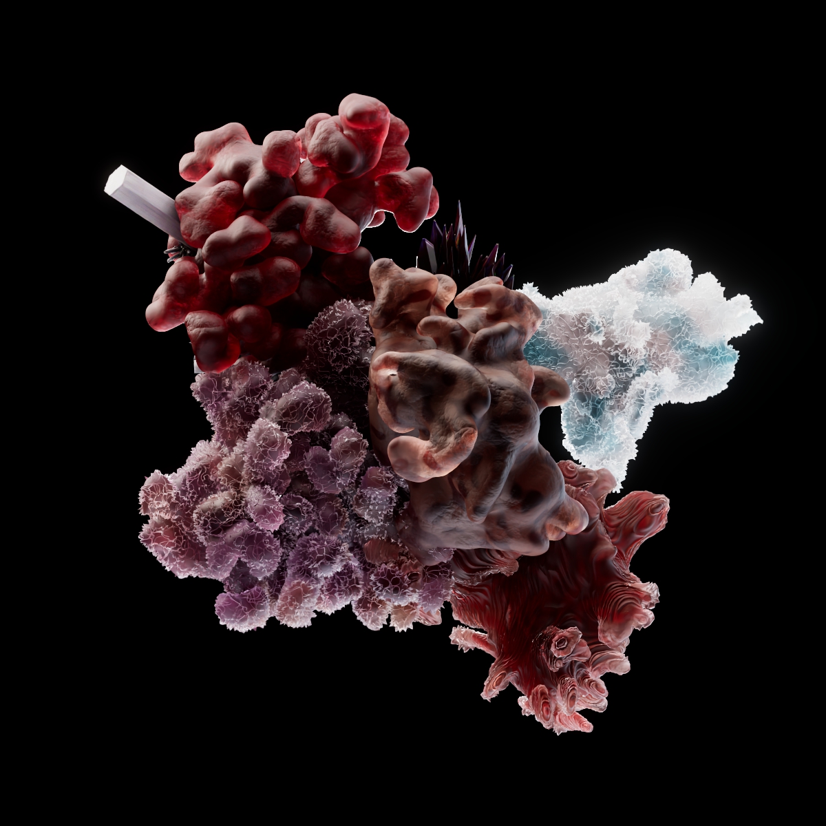 Varza_eth's tweet photo. @ogcrystals Look no further than this chunky coral boi https://t.co/6MaA6C9tIo