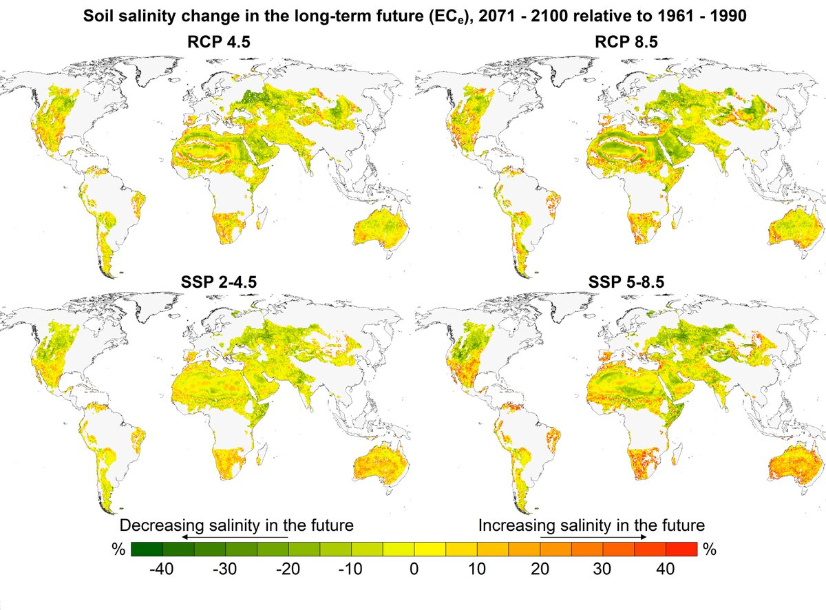 NimaShokri_GHI's tweet photo. #Soilsalinization may lead to
- Desertification 
- Salt storms 
- Shift in vegetation patterns 
- Reduced crop production
- Forced migration
- Decline in economic welfare 
This is our prediction of #salinization by year 2100 #MachineLearning #WorldSoilDay 
https://t.co/5yyMFwAshO https://t.co/UdBQ6J7kiA
