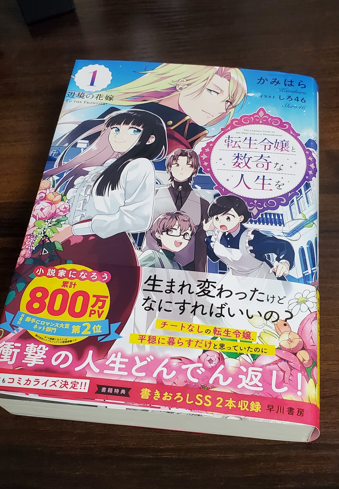 あきよし 主人公カレンちゃんは前世の記憶 日本 はあるが普通の女の子 そんな彼女の結婚から始まる物語で 読めば読むほど そ そんな ってなっていく展開 チート 勧善懲悪 イケメンと甘い生活 の王道パターンには全く行きません 行きません