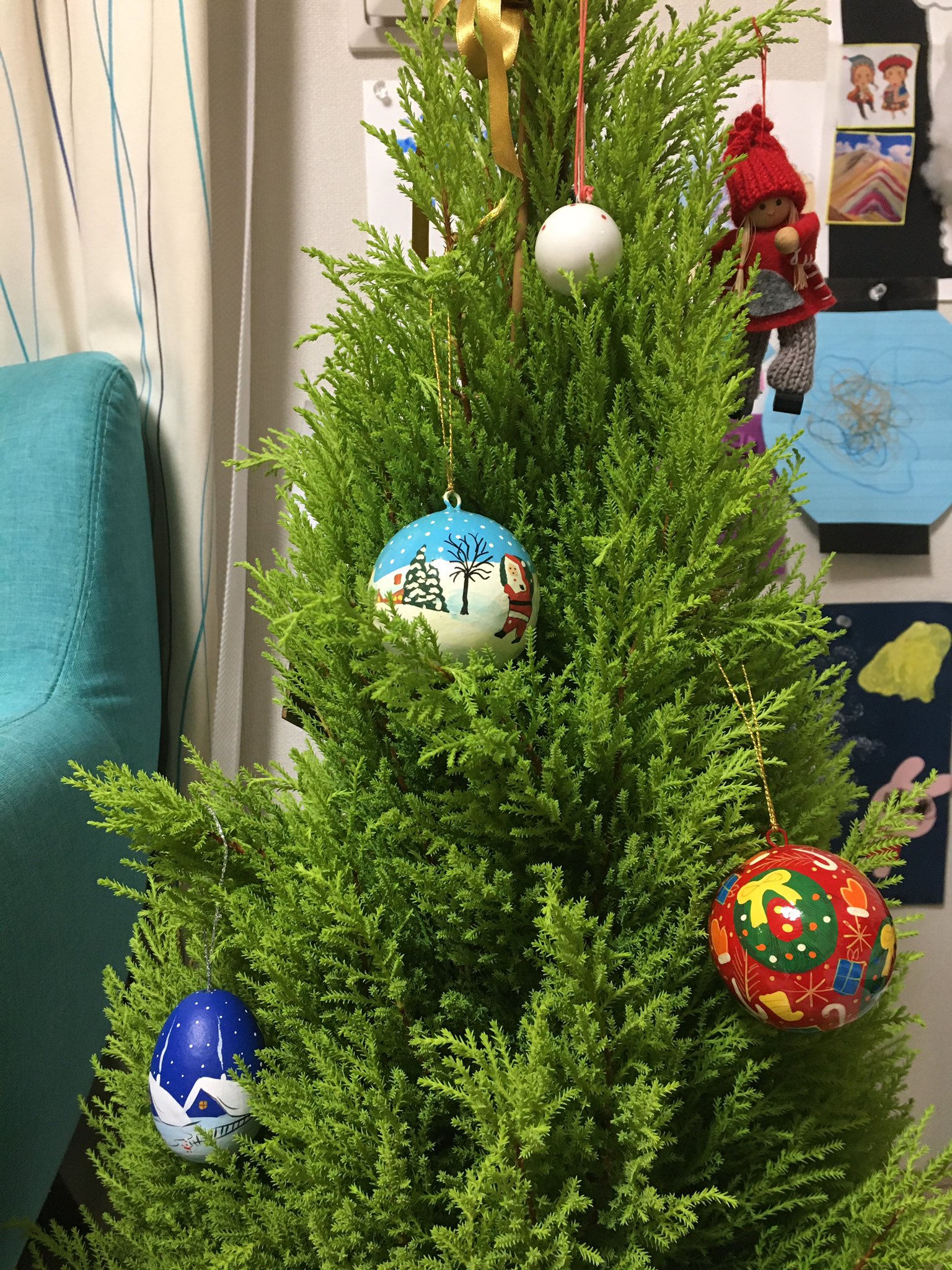 飛鳥井千砂 今年もクリスマスツリーはゴールドクレストの生木で 飾り付け 始めてます T Co Ssjs7ddhtg Twitter