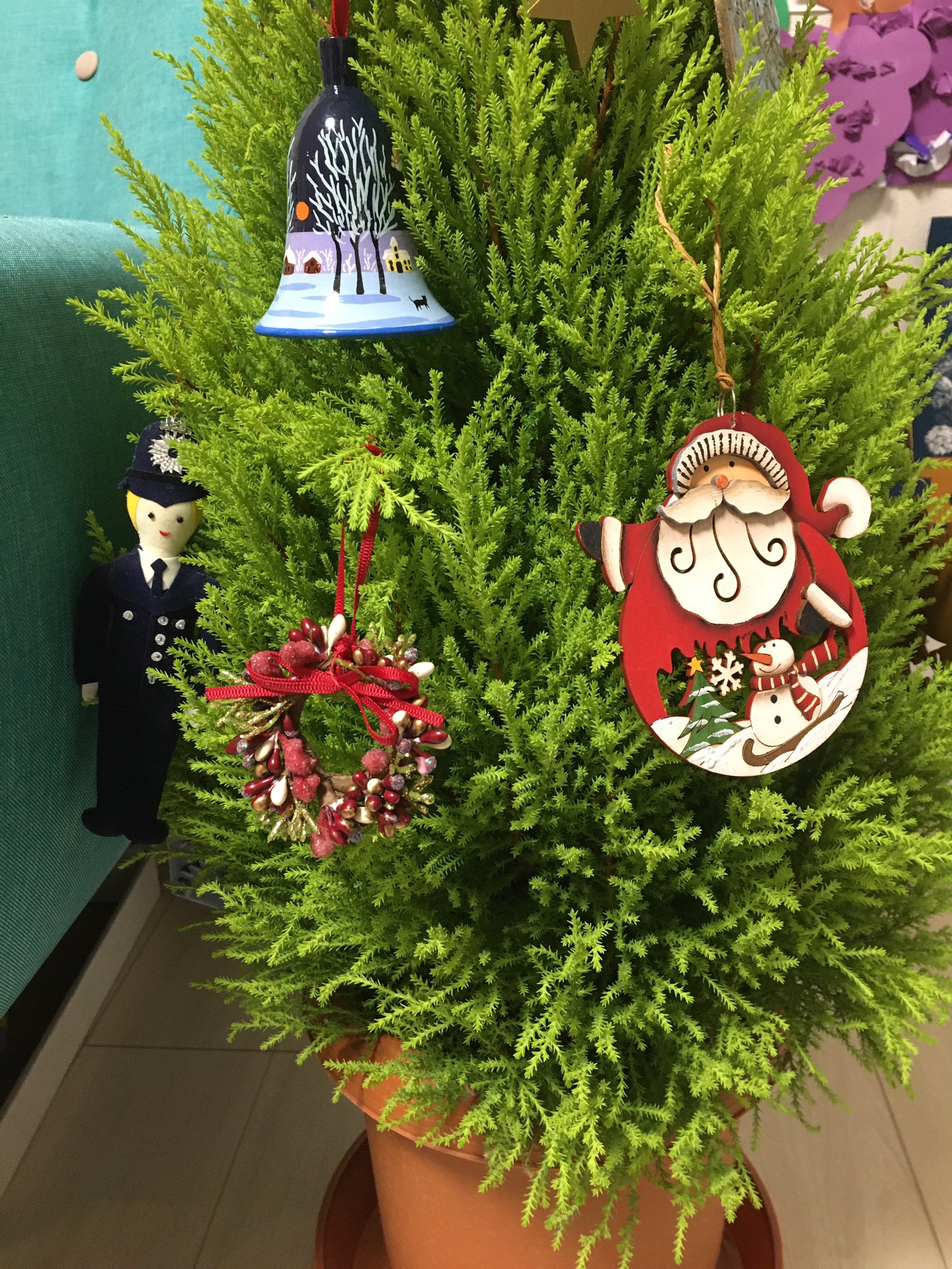 飛鳥井千砂 今年もクリスマスツリーはゴールドクレストの生木で 飾り付け 始めてます T Co Ssjs7ddhtg Twitter