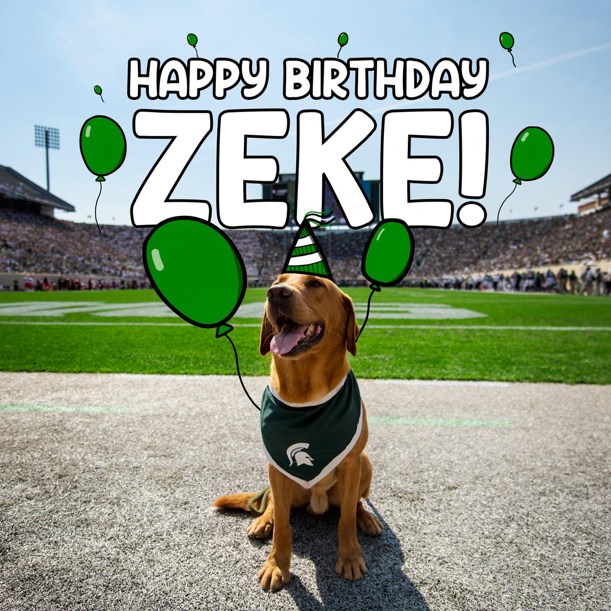 michiganstateu's tweet photo. Happy birthday to the goodest boy, @MSUZeke!

❤️ = treat https://t.co/XsKeGebJdl