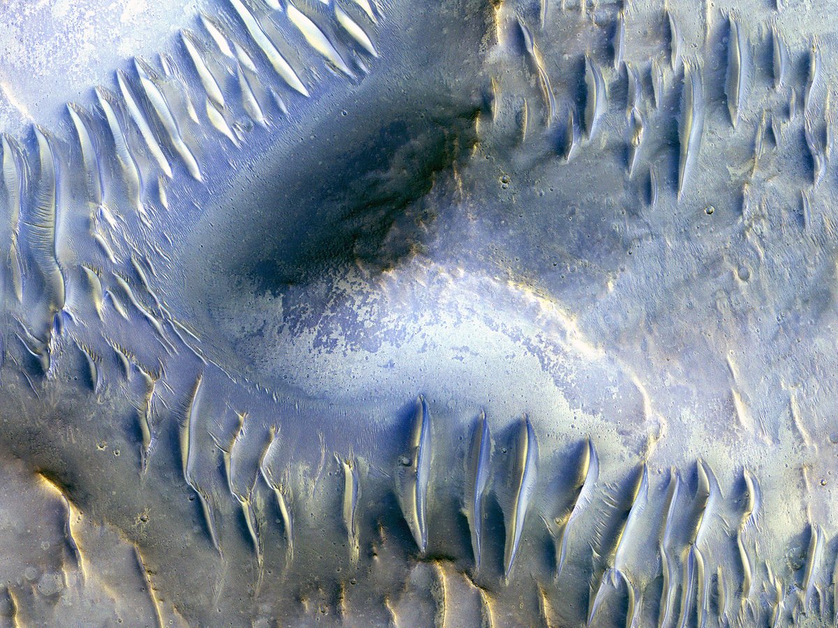 HiRISE's tweet photo. HiPOD: The Splitting of the Dunes – https://t.co/S8UHEZoFkY

NASA/JPL/UArizona
#Mars #science #NASA https://t.co/eIF4gmGQD6