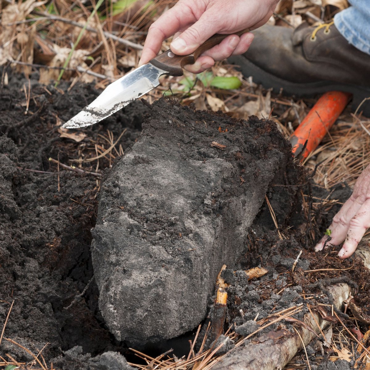 SJRWMD's tweet photo. It’s #worldsoilday! Did you know soil can help determine if a site is #hydric, or formed under flood conditions and having no oxygen present? https://t.co/cTYAUfwwac https://t.co/Y2xB74n4z0