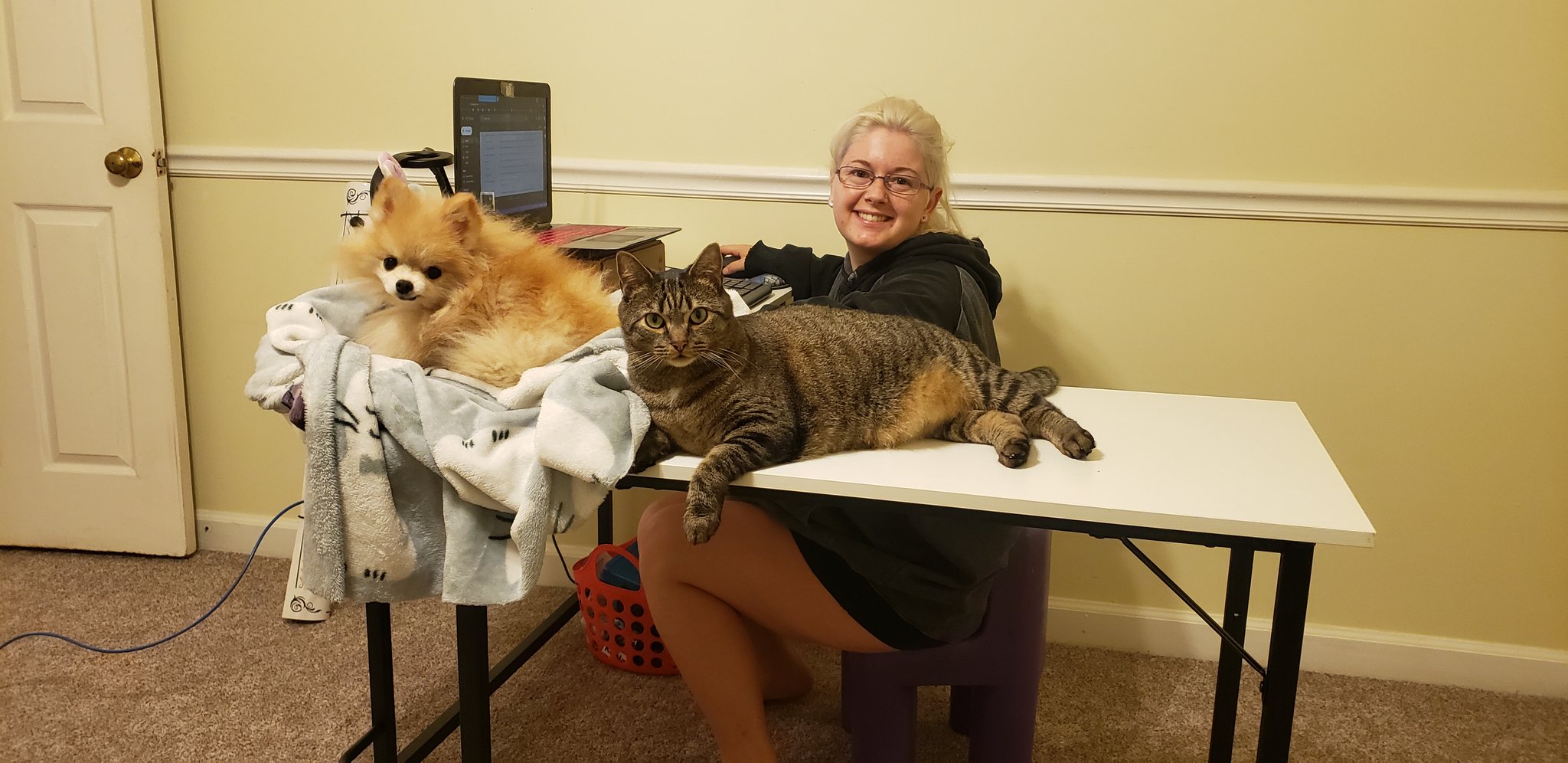@MaraWilson I named my cat "Piglet" or Piggy for short. It went straight to his gut. https://t.co/vjIEqzRxFY