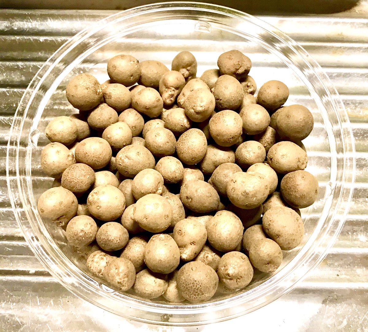 VeganMarina's tweet photo. むかご 零余子 / 珠芽
Mukago Propagule or Bulbil
むかごは青森県産です。青森県のどこかで作られました。人生初のむかごでした。まるでとても小さなじゃがいも🥔を食べているかのようです。
#むかご #零余子 #珠芽
#mukago #propagule #bulbil #むかごご飯 #零余子ご飯 #ヴィーガンご飯 https://t.co/U8jBuPwGkb