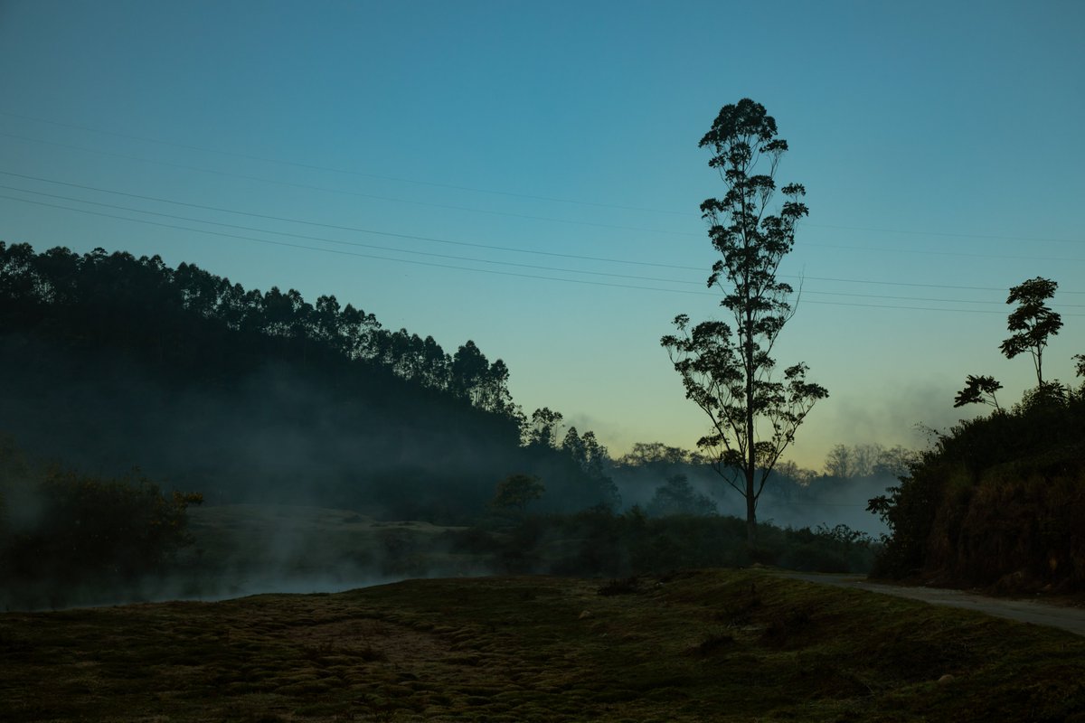 KeralaTourism's tweet photo. “Nature is not a place to visit, it is home.” ~ Gary Snyder.
#naturequotes #sundayvibes #KeralaTourism 

📍 Munnar https://t.co/8xLVlTp5ZI