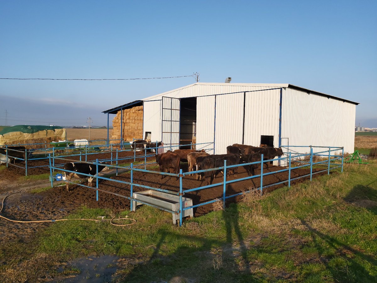 Güzel bi pazar 👌