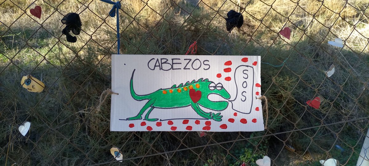 dolochoquerita's tweet photo. #Cabezos de #Huelva #DíadelSuelo #DíaMundialdelSuelo

#SalvemosLaJoya #CabezodeLaJoya  #SalvemosLosCabezos ⛰️ #HuelvaEsCabezos #SOSCabezos #CabeSOS 

#DíaInternacionaldelosVoluntarios @HuelvaTeMira https://t.co/0Nup08AQMb