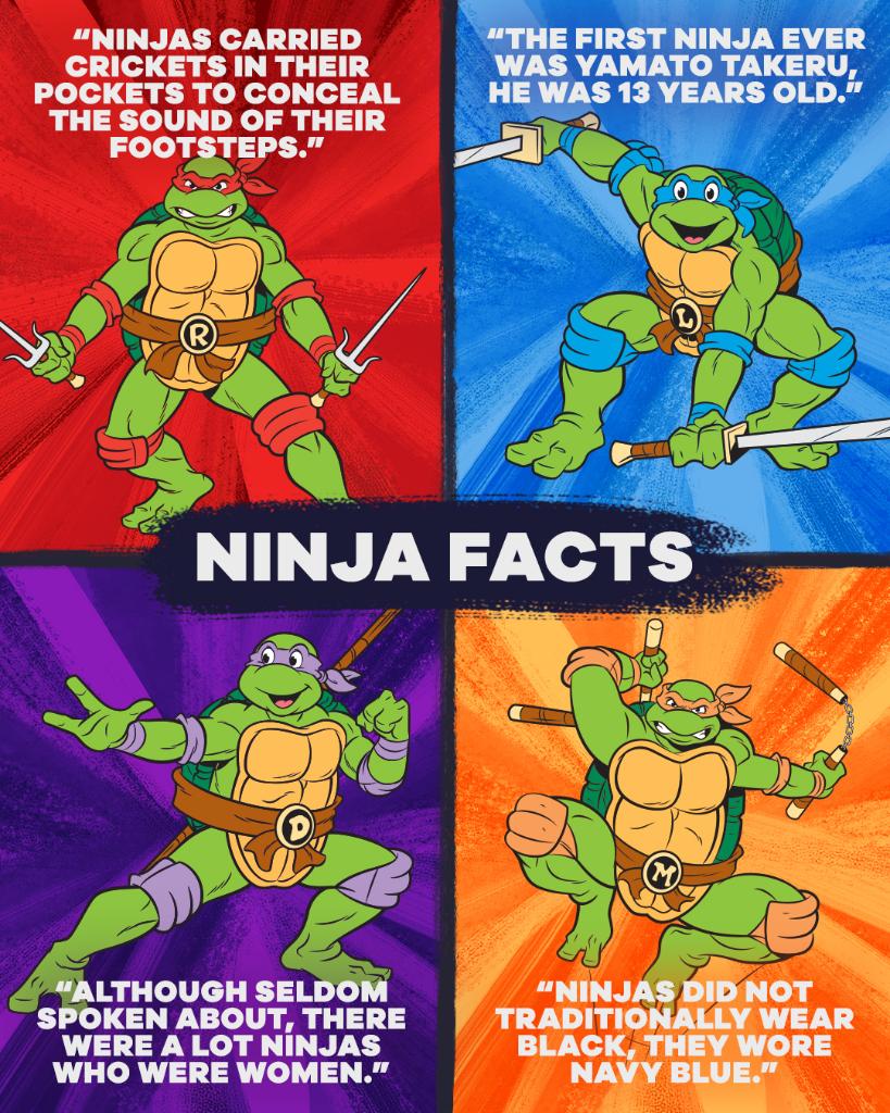 Addicted to He-Man, MOTU, TMNT and Ghostbusters tweet media