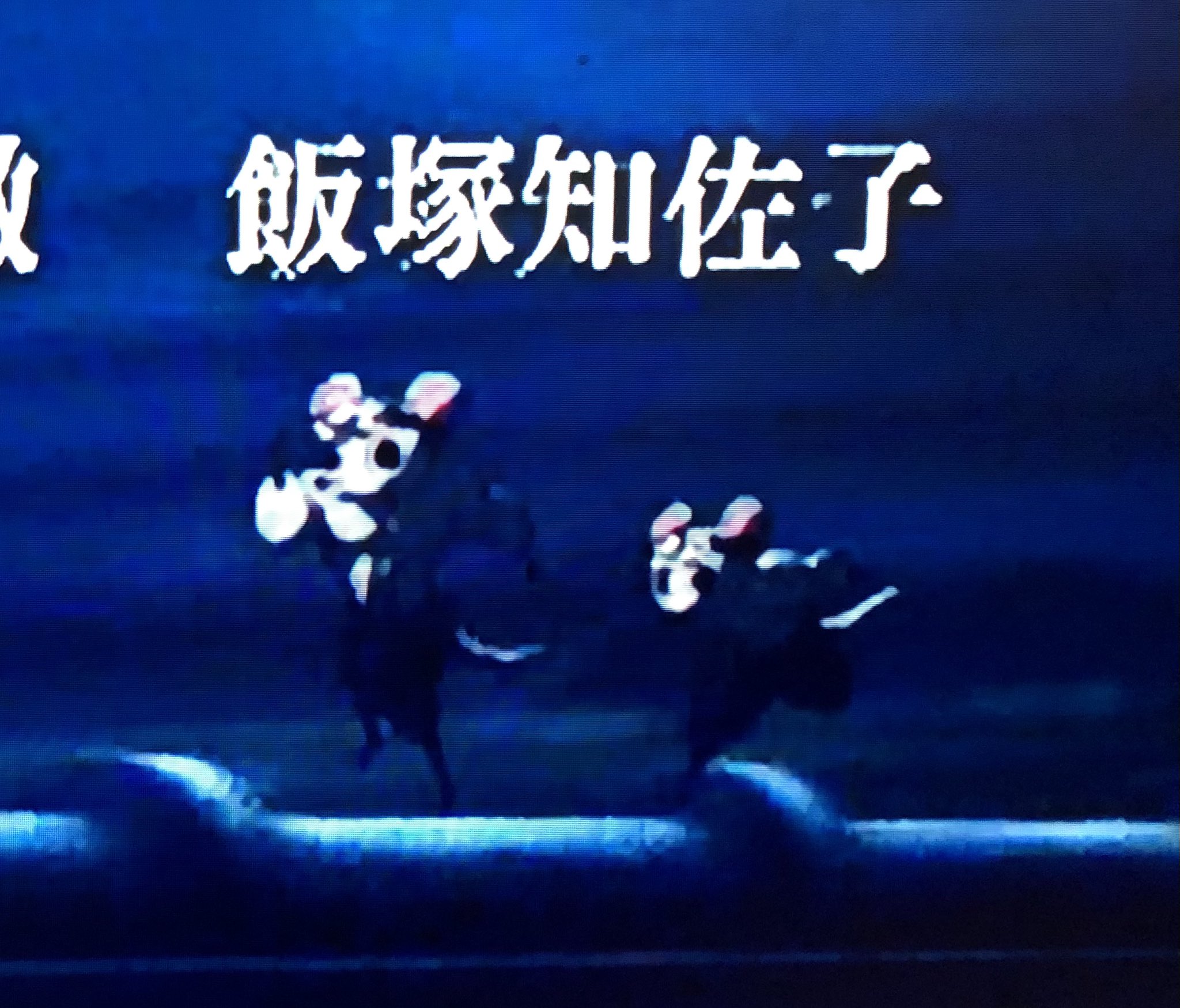 むきむきねずみ さめ on X: 