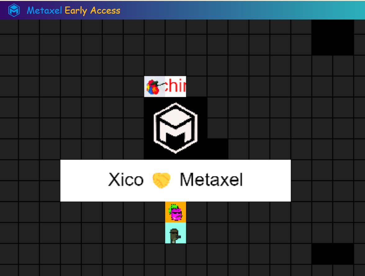 MetaxelNFT's tweet photo. A @thugbirdz is one of the earliest inhabitant of Metaxel 👀👀 https://t.co/QQwuXGyD0k