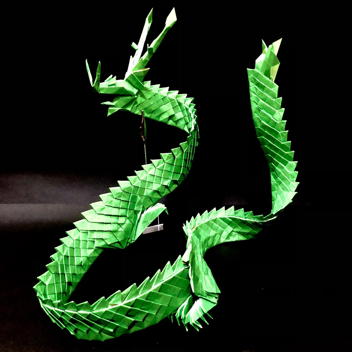 ykitano's tweet photo. Lien Quoc DatのShenlong。money origamiと言って1ドル札数枚で折る作品みたいだが、15cm折り紙2枚繋げたものを10セット使って折ってみた。
針金入れて仕上げてるが、ペラペラになってしまったので、半分ぐらいの大きさの紙の方が良かったかな。。
#lqdmoneyorigami #shenlong #origami #lienquocdat https://t.co/7gy7HOq1x2