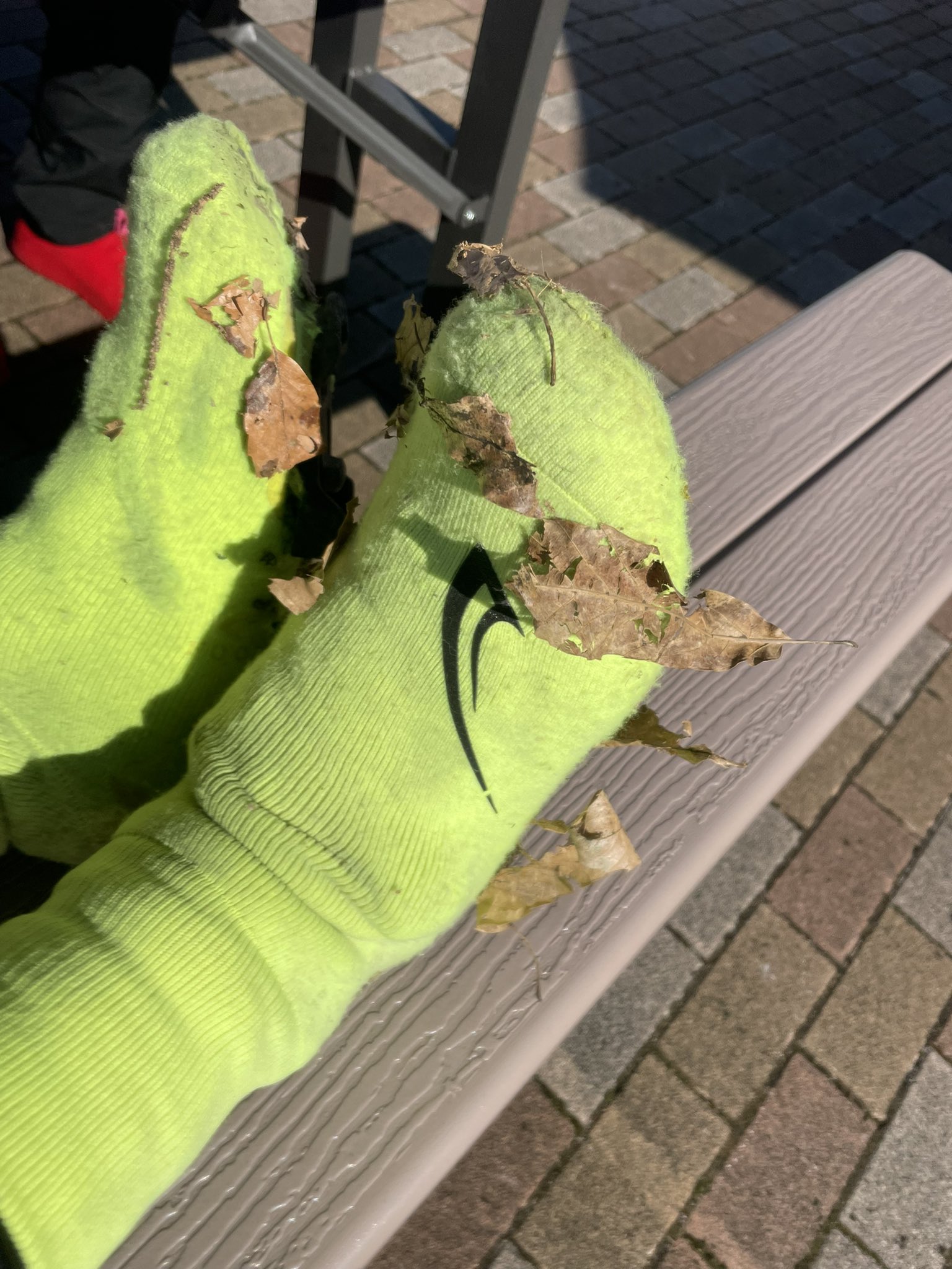 動物ハント Twitter Search Twitter