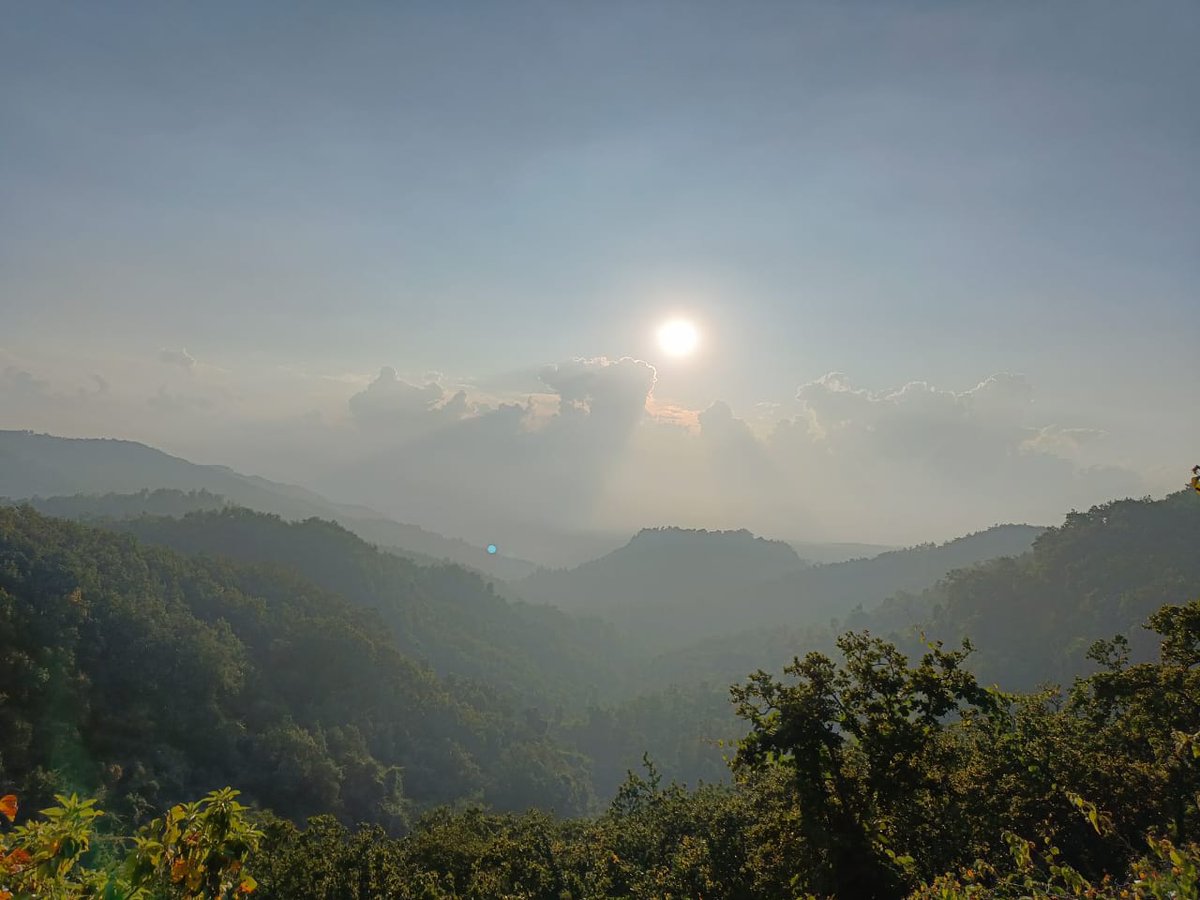 hrsanjaynegi's tweet photo. #Kimadi #Dehradun #Uttarakhand #home https://t.co/3NyROPQcwE