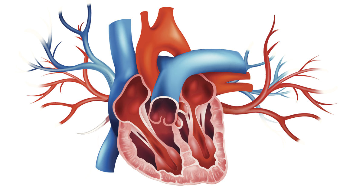 Mental stress-induced myocardial ischemia appears to carry a stronger risk than conventional stress–induced ischemia for CV death, nonfatal myocardial infarction, or heart failure hospitalization. jwat.ch/3D8gj4x #cardiology @kewatson