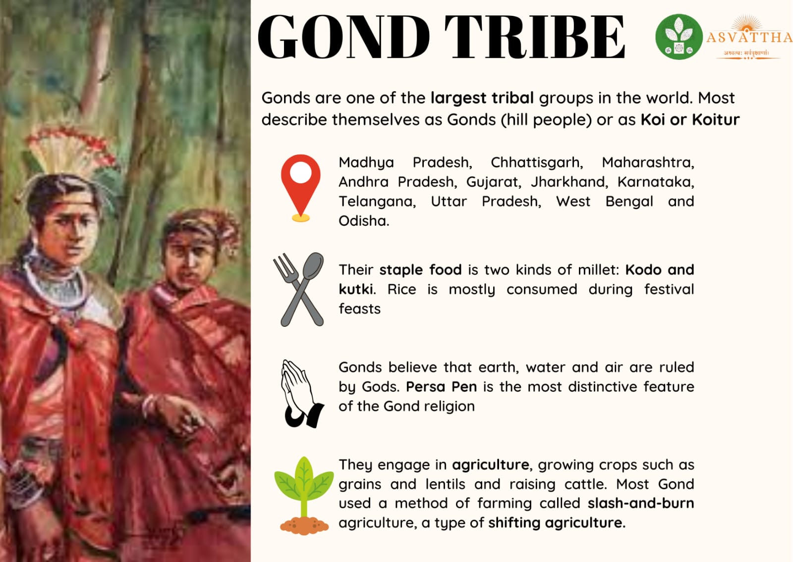 Gond Tribe Food