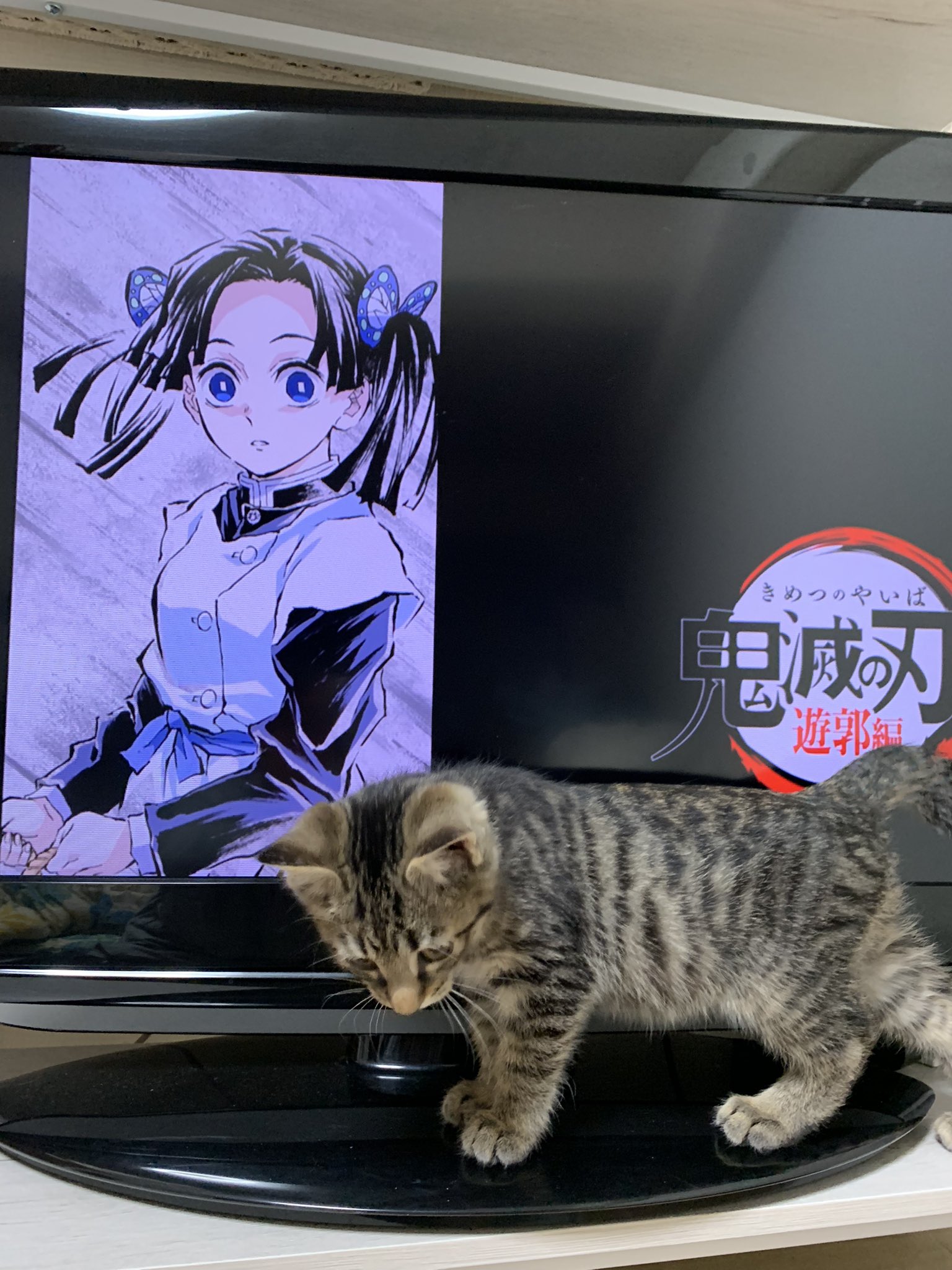 Soka City Girl 鬼滅の刃アイキャッチcパートとビニチャン T Co Jc49qej4sn Twitter