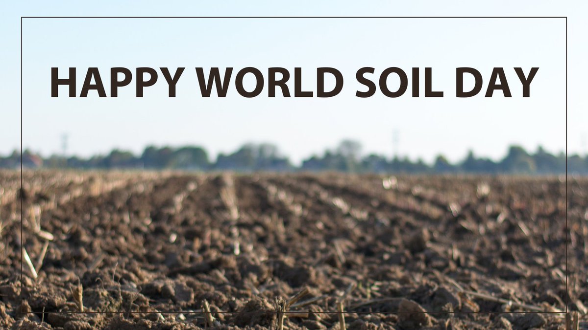 Healthy soil gives us clean air and water, bountiful crops and forests, productive grazing lands, diverse wildlife,
and beautiful landscapes. #SoilForLife #WorldSoilDay