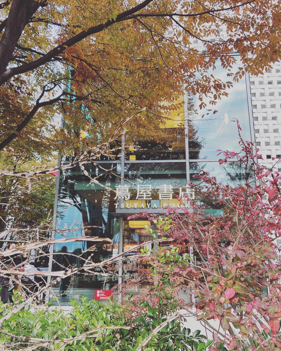 Sen_no_Fukei's tweet photo. 今日たまたま行ったら-蔦屋書店-代官山が十周年という節目のお祝いの日でした👏
そして、こんな素敵な文庫サイズの言葉集を✨
2Fのシェアラウンジが素敵過ぎて、ここにさらっといる自分を思い浮かべました。📚
(キョロキョロしないで、あくまでさらっと…!!w)
#ショップは人が多くて滞在時間は短めw https://t.co/OYIqI8Qwhp